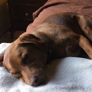 Meet your Posher, Madelyn